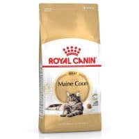 Royal Canin Maincoon Adult