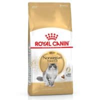 Royal Canin Norwegian Forest Cat Adult